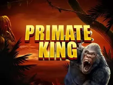 31bet Casino screenshot
